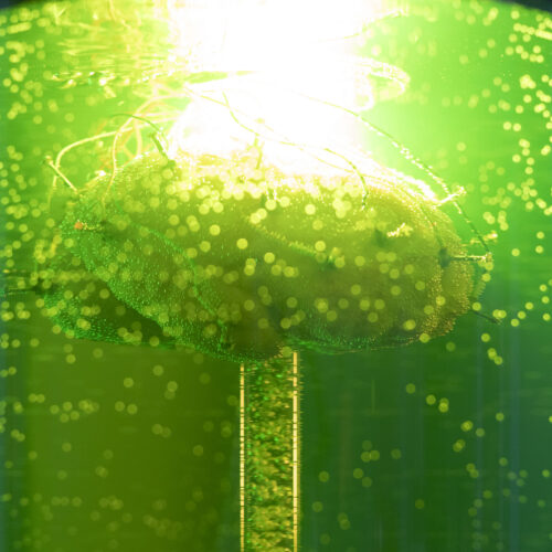 20251112_43A0252Funken-Echoes_cFabianThueroff